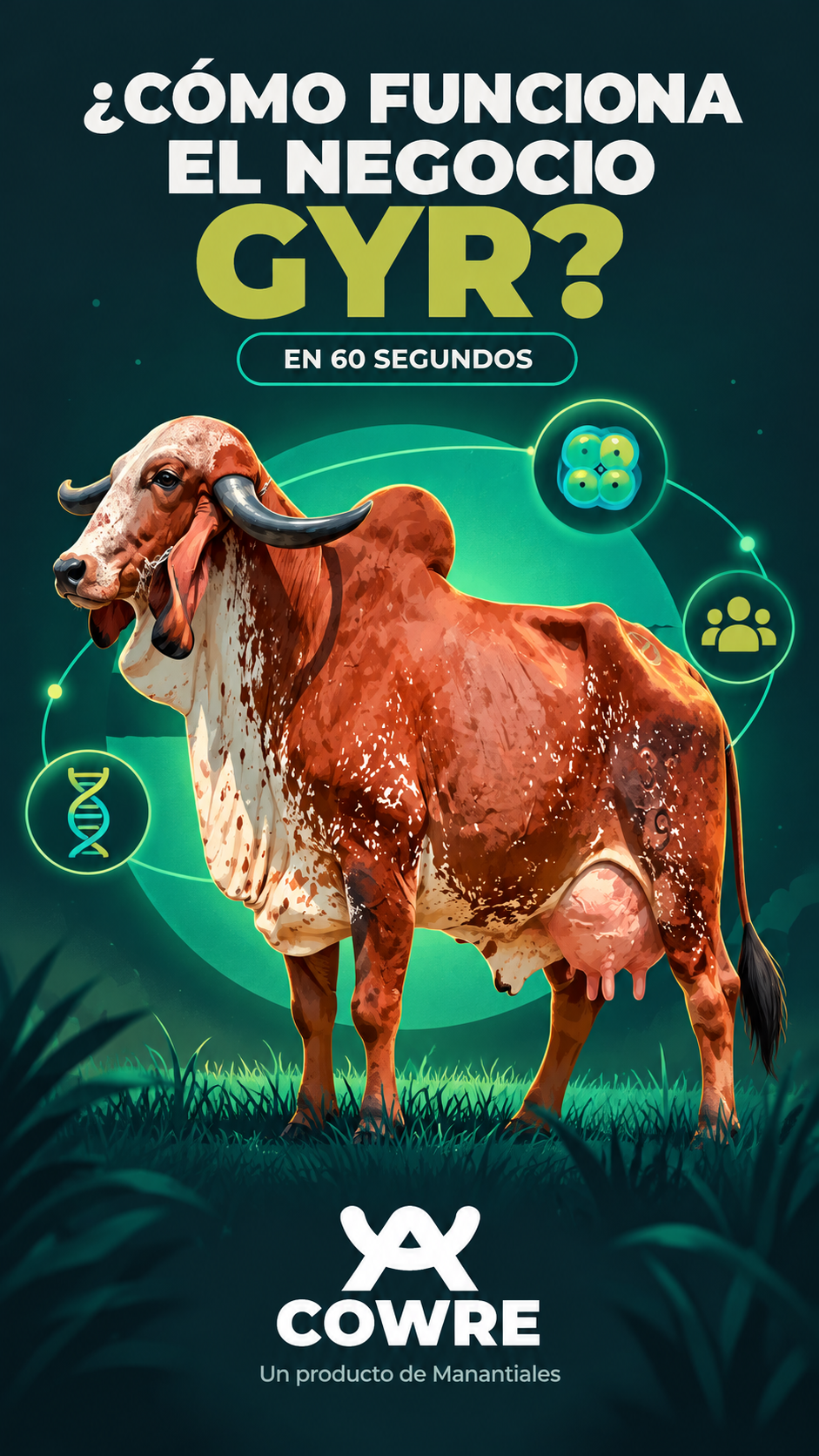Video: cómo funciona la copropiedad Gyr